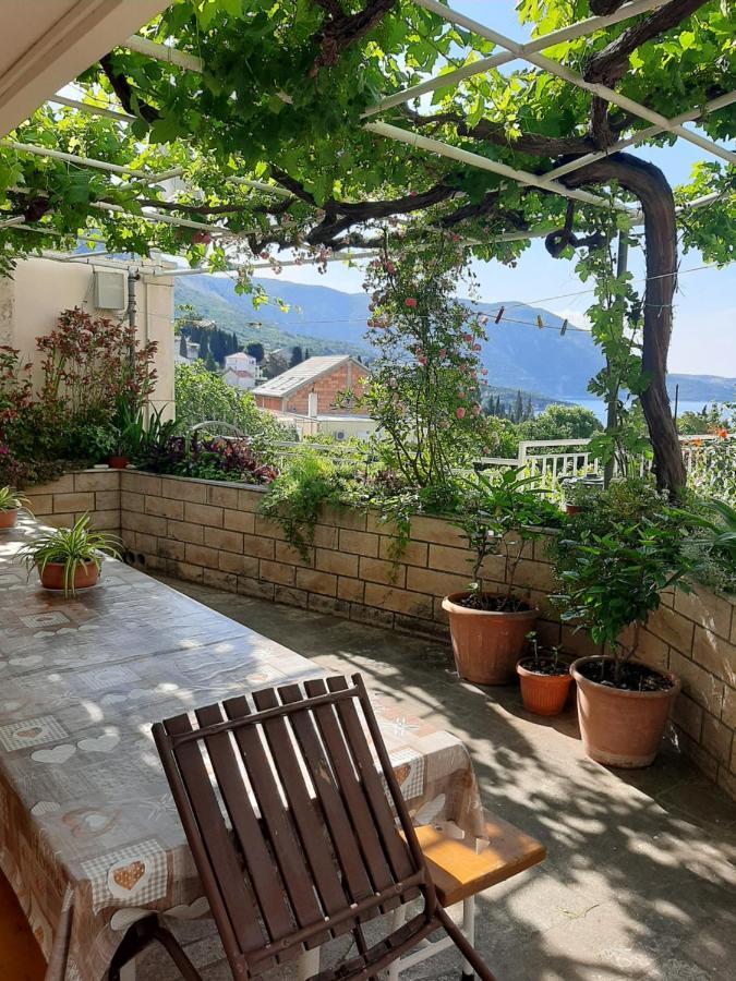 Adria Guest house 3*