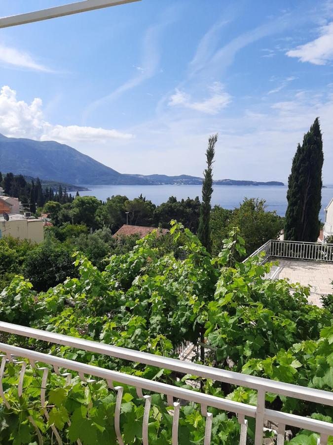 Guest house Adria 3*
