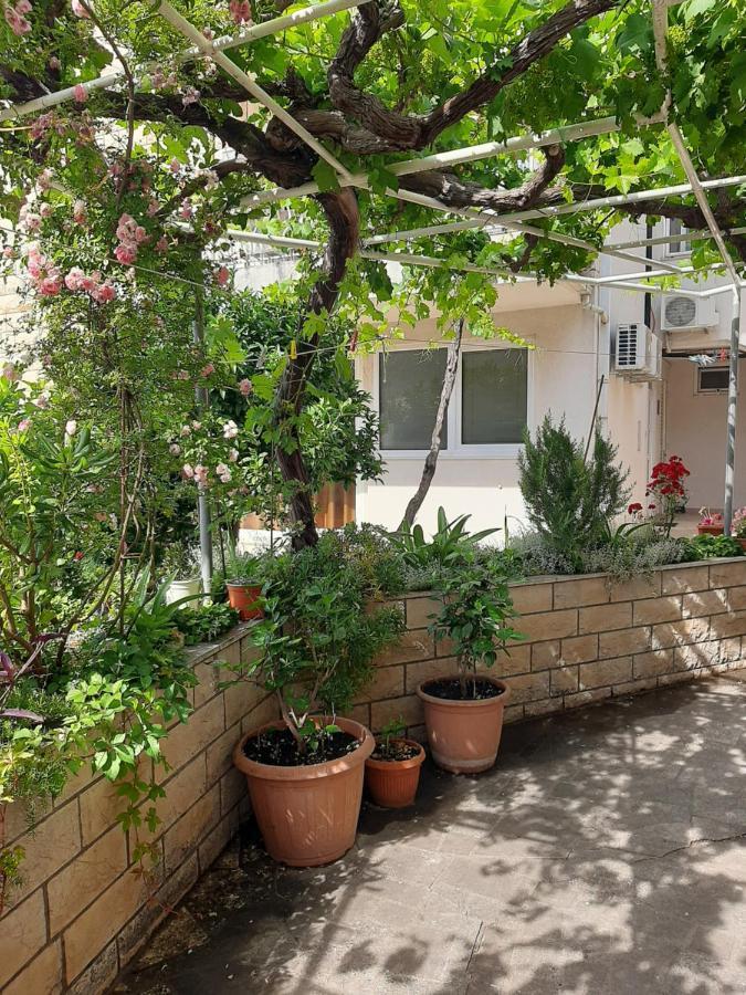 Adria Guest house 3*