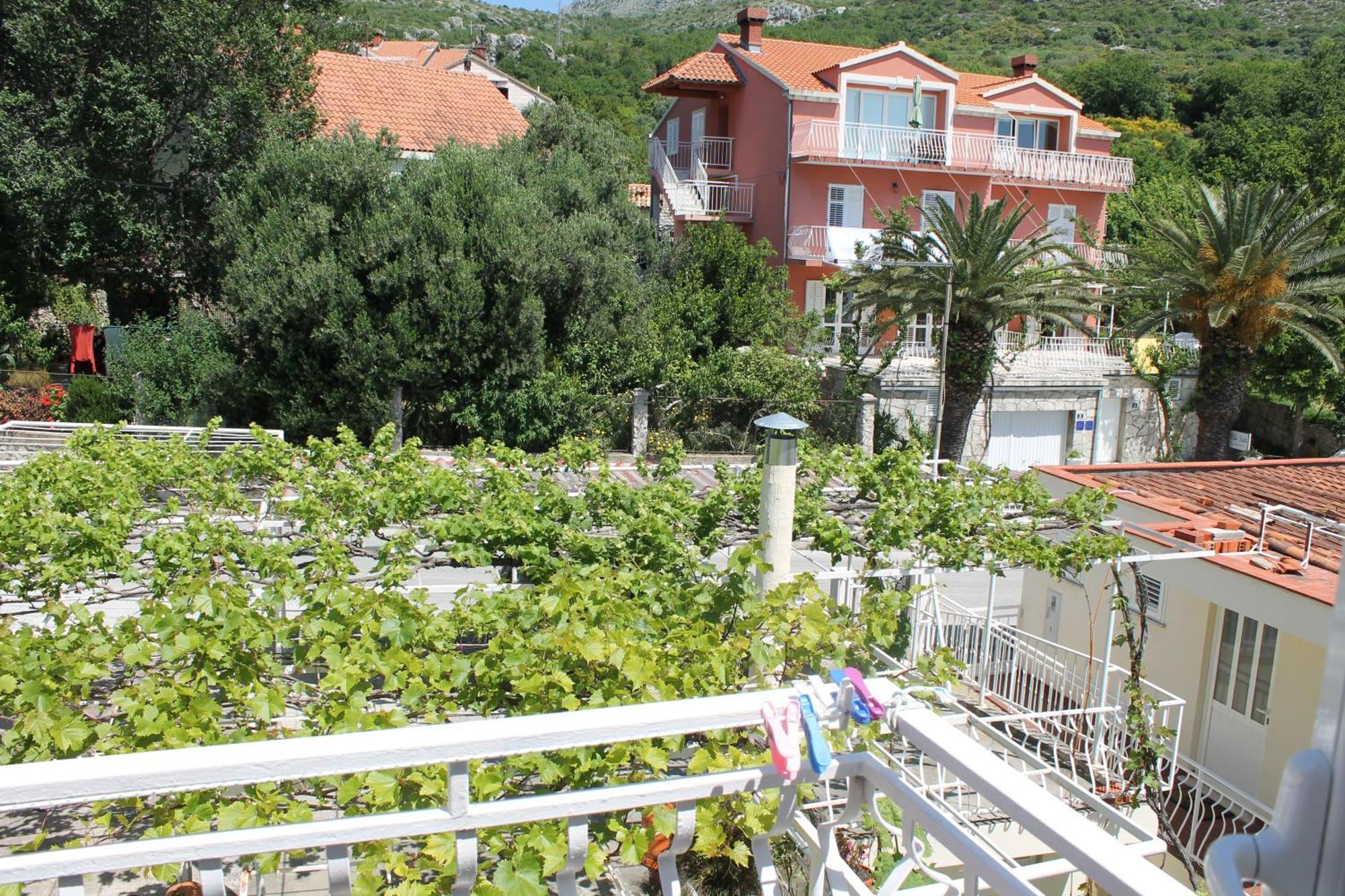 Adria Guest house 3*