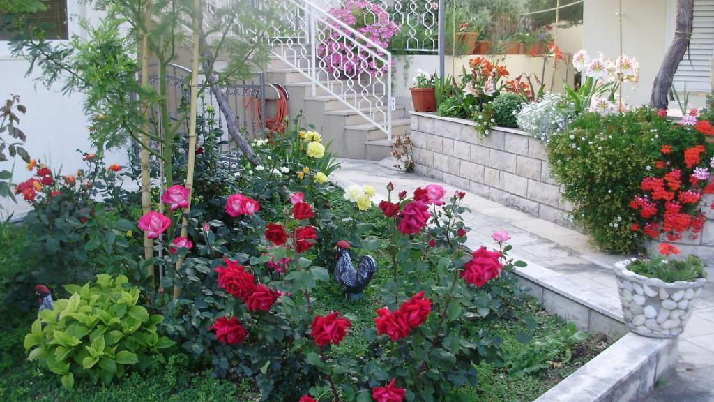 Adria Guest house